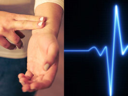 how to identify heart and pulse rate