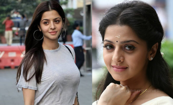 vedhika actress swim wearrecent pictures viral in social media